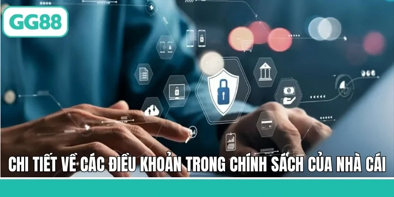 Chi tiết về các điều khoản trong chính sách của nhà cái
